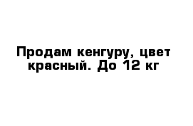 Продам кенгуру, цвет красный. До 12 кг